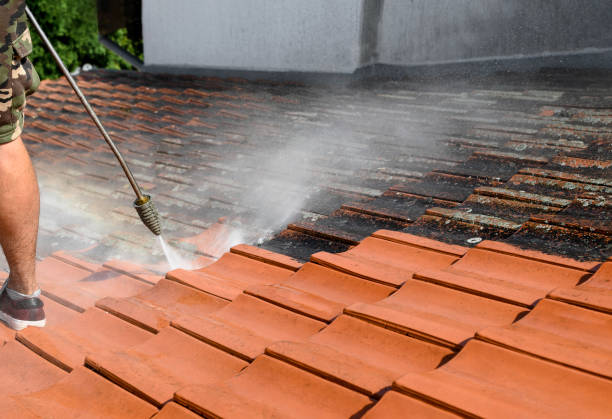  Chevy Chase View, MD Pressure Washing Pros
