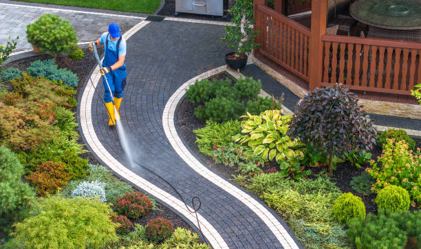 Best Pressure Washing Company Near Me  in Chevy Chase View, MD
